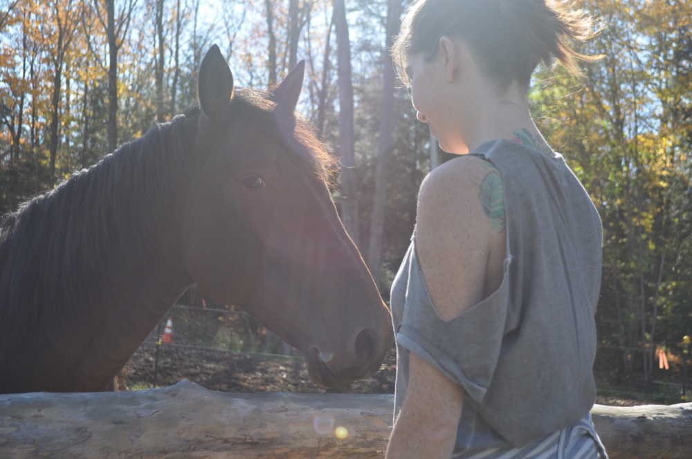 Horse-&-Me